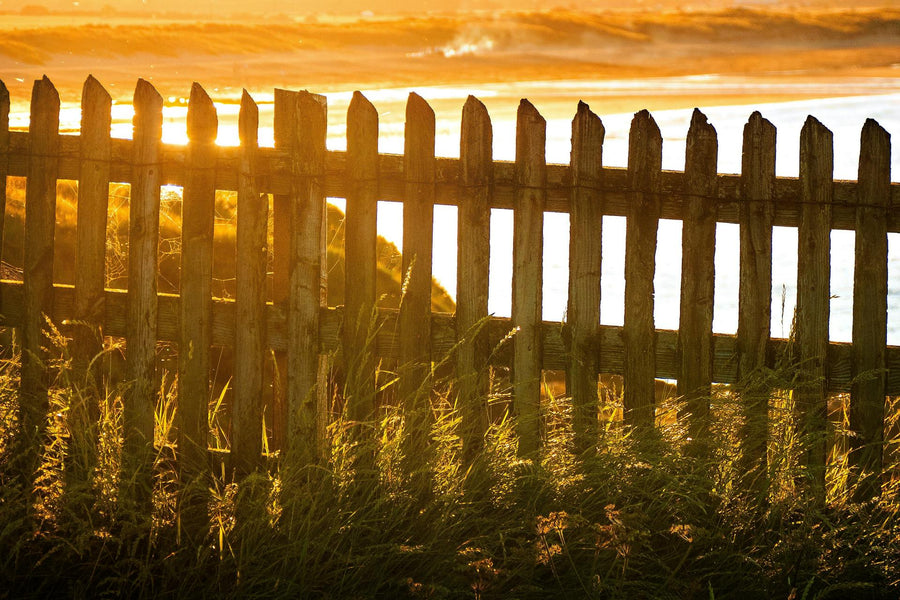 Setting Boundaries in a Dating Relationship: A Guide to Healthy Love