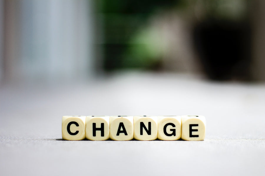 The Art of Embracing Change: Elevate Your Life's Journey with Freedom Life Coaching